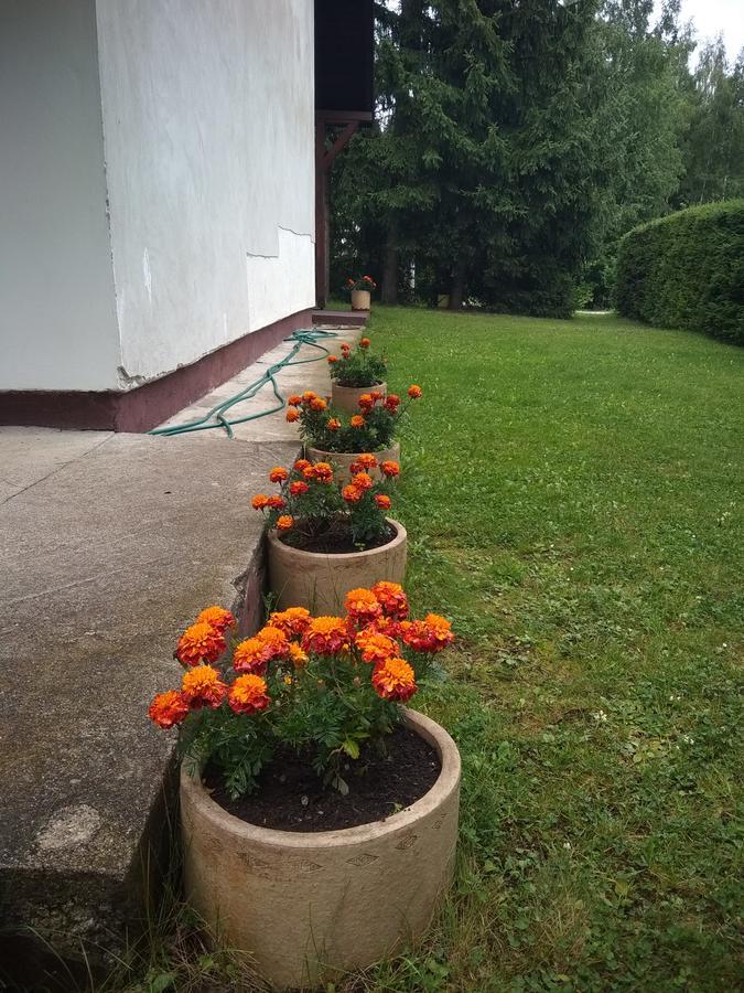 Vila Borovic Zlatibor Exterior photo